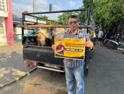 Anggota DPR RI Doni Akbar Distribusikan 126 Hewan Kurban ke Tiga Wilayah