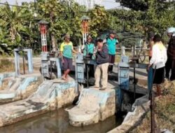 Selamatkan Sawah dari Kekeringan, Petani Pemalang Sambut Pengawalan Air Irigasi UPJI VII