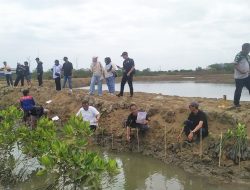 PT Longwell Internasional Salurkan CSR 1.000 Mangrove di Desa Mojo Pemalang