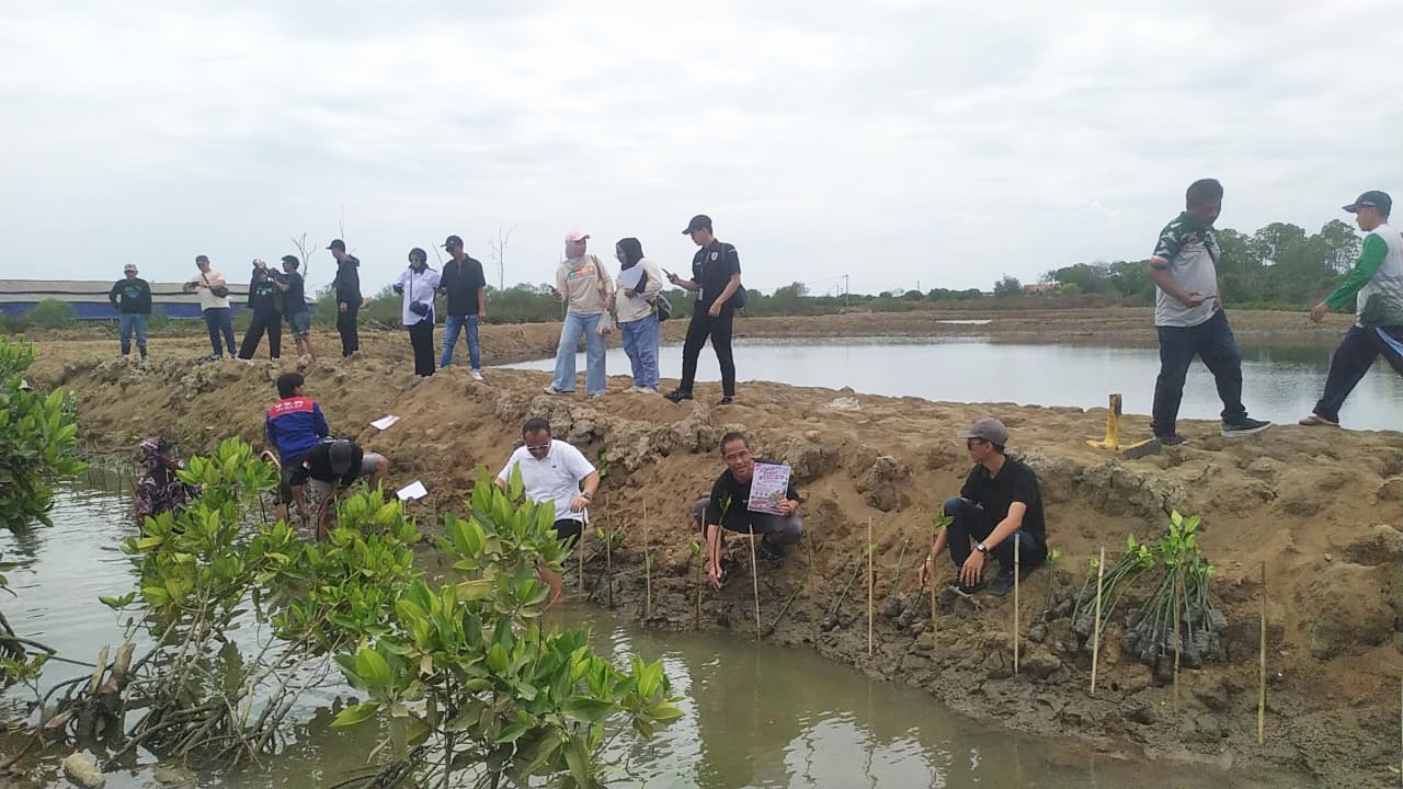 PT Longwell Internasional Salurkan CSR 1.000 Mangrove di Desa Mojo Pemalang
